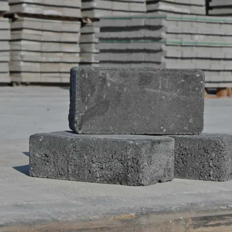 Paving Block 10X20X6CM