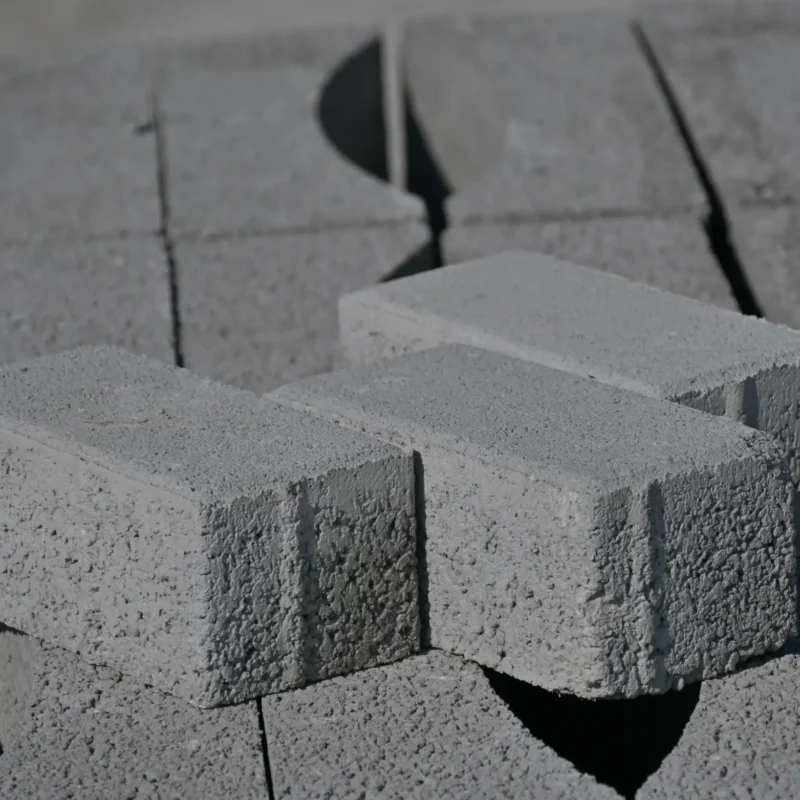 Paving Block 10X20X8CM